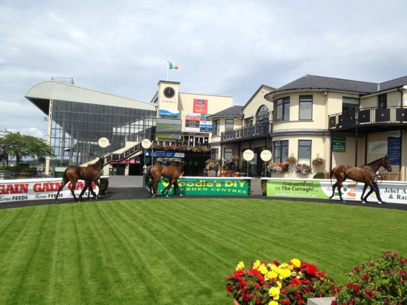 Curragh Racecourse, CURRAGH CAMP, Kildare Pub info Publocation
