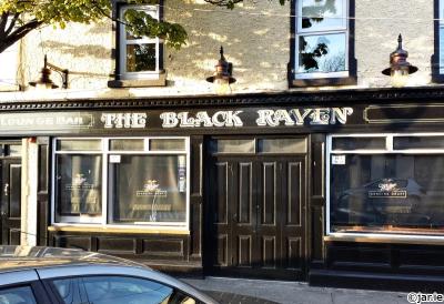 The Black Raven - image 1