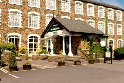 Blarney Woollen Mills Hotel - image 2