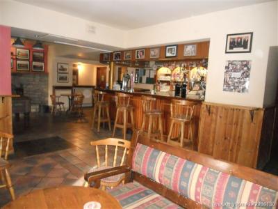 The Cove Bar - image 2