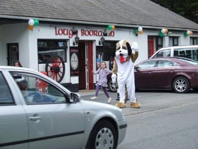 Lough Boora Inn - image 2