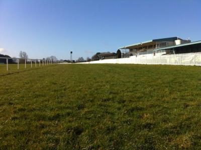 Naas Race Course - image 1