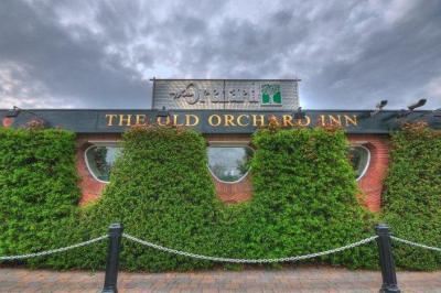 The Old Orchard - image 1