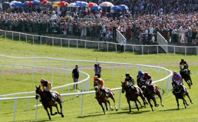 Punchestown Racecourse - image 2