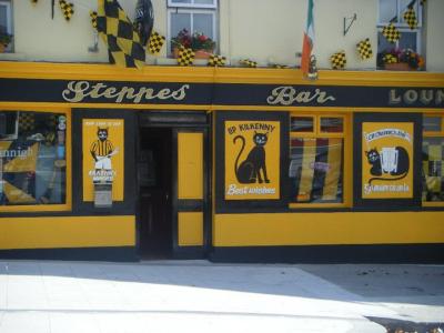 The Steppes Bar - image 1