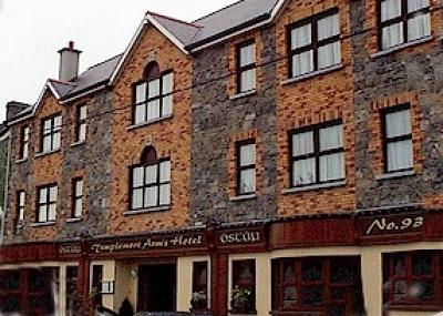 Templemore Arms Hotel - image 1
