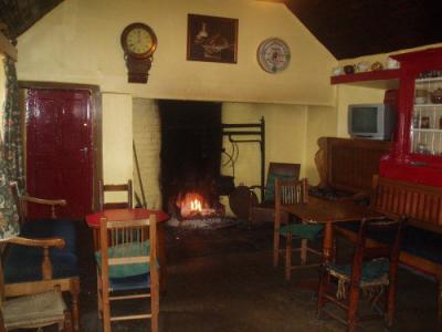 The Thatch Bar - image 2