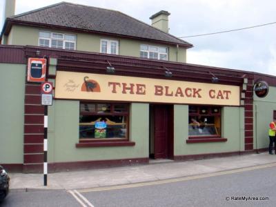 The Black Cat - image 2