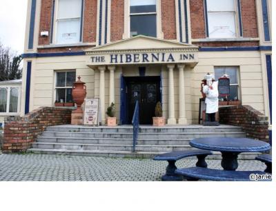 The Hibernia Inn - image 1