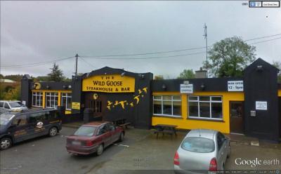 The Wild Goose - image 1