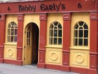 Biddy Early's Pub - image 4