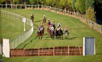 Clonmel Racecourse - image 1