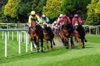 Clonmel Racecourse - image 2