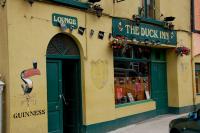 The Duck Inn - image 1