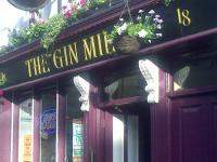 The Gin Mill - image 1
