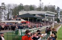 Gowran Park Racecourse - image 2