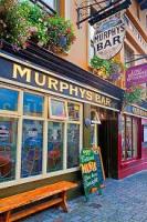 Murphys Bar - image 2