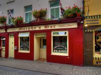 The Asian Lounge Tea House Restaurant Galway Galway Pub Info Publocation