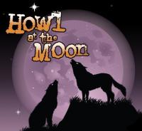 O'dwyers And Howl At The Moon - image 1