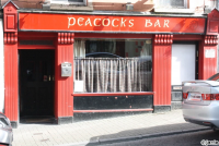 The Peacock Bar - image 1