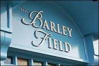 The Barley Field - image 1
