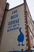 The Blue Goose - image 1