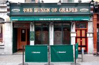 The Bunch Of Grapes - image 1