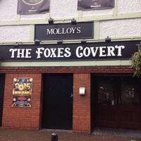 The Foxes Covert / molloy's Pub / fables - image 1