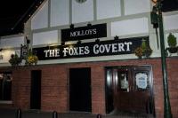 The Foxes Covert / molloy's Pub / fables - image 3