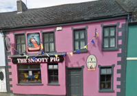 The Snooty Pig - image 1