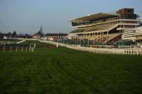 Tipperary Racecourse - image 1