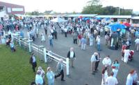 Wexford Racecourse - image 1
